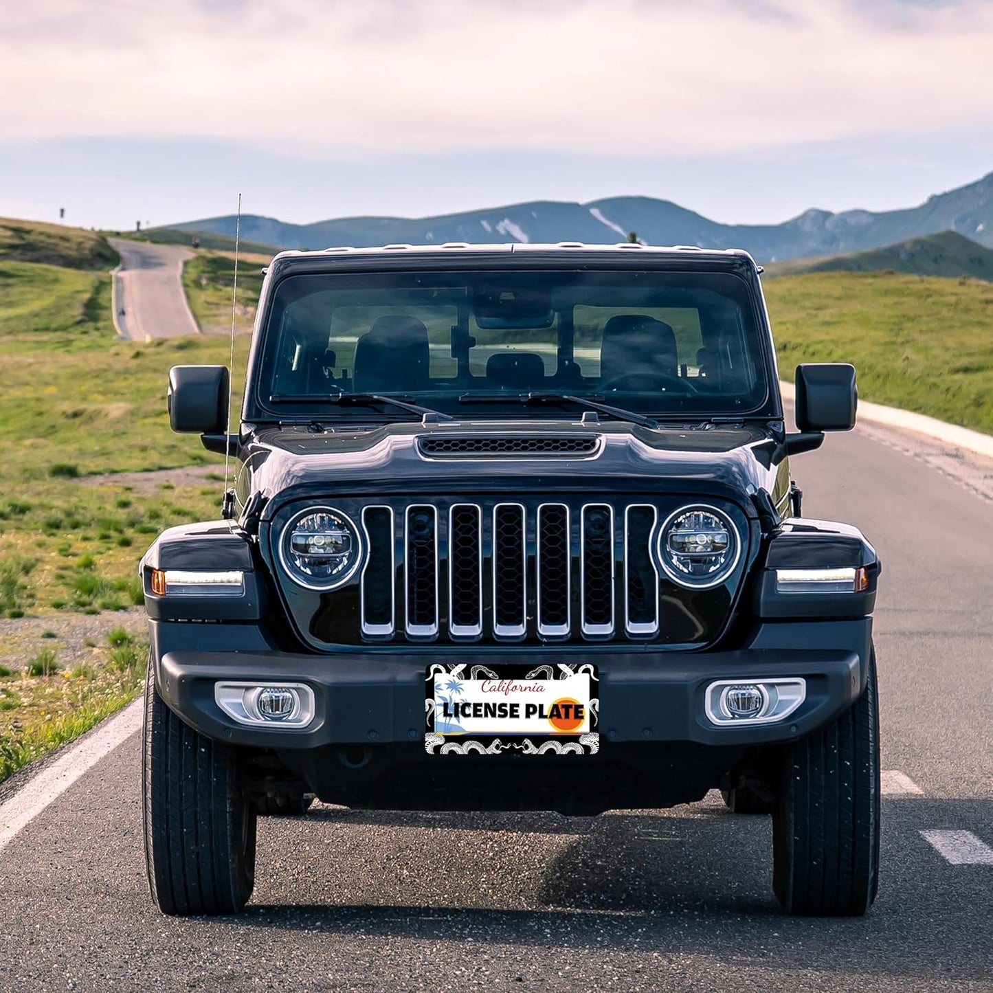 Black and White Snake Crawling License Plate Frame Gothic License Plate Holder for Front or Rear Car Tags Stainless Steel Funny Car Decoration with Screws 6.3 X 12.2 in