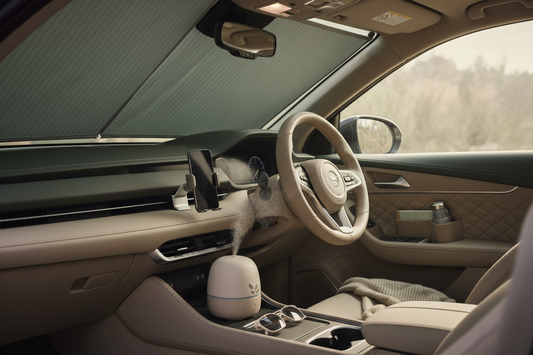 Accessories That Make Driving Less Stressful 🚗😌
