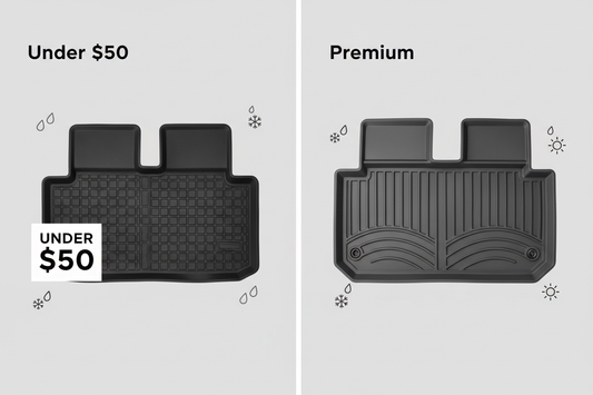 💰🌦️ Under $50 vs Premium All-Weather Mats
