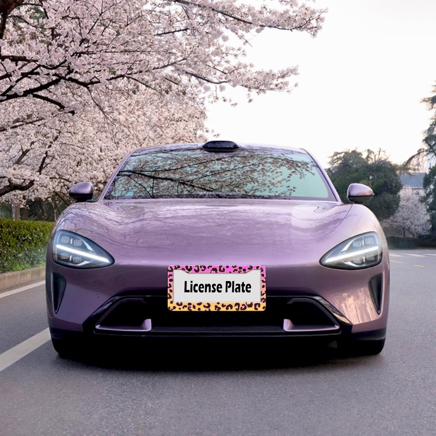 Gradient Color Leopard Print License Plate Frame Cheetah Print Tags Frames Holder Covers Metal Aluminum Rustproof Cute Car Accessories for Us Canada Standard Women Men 2 Holes with Screw Caps