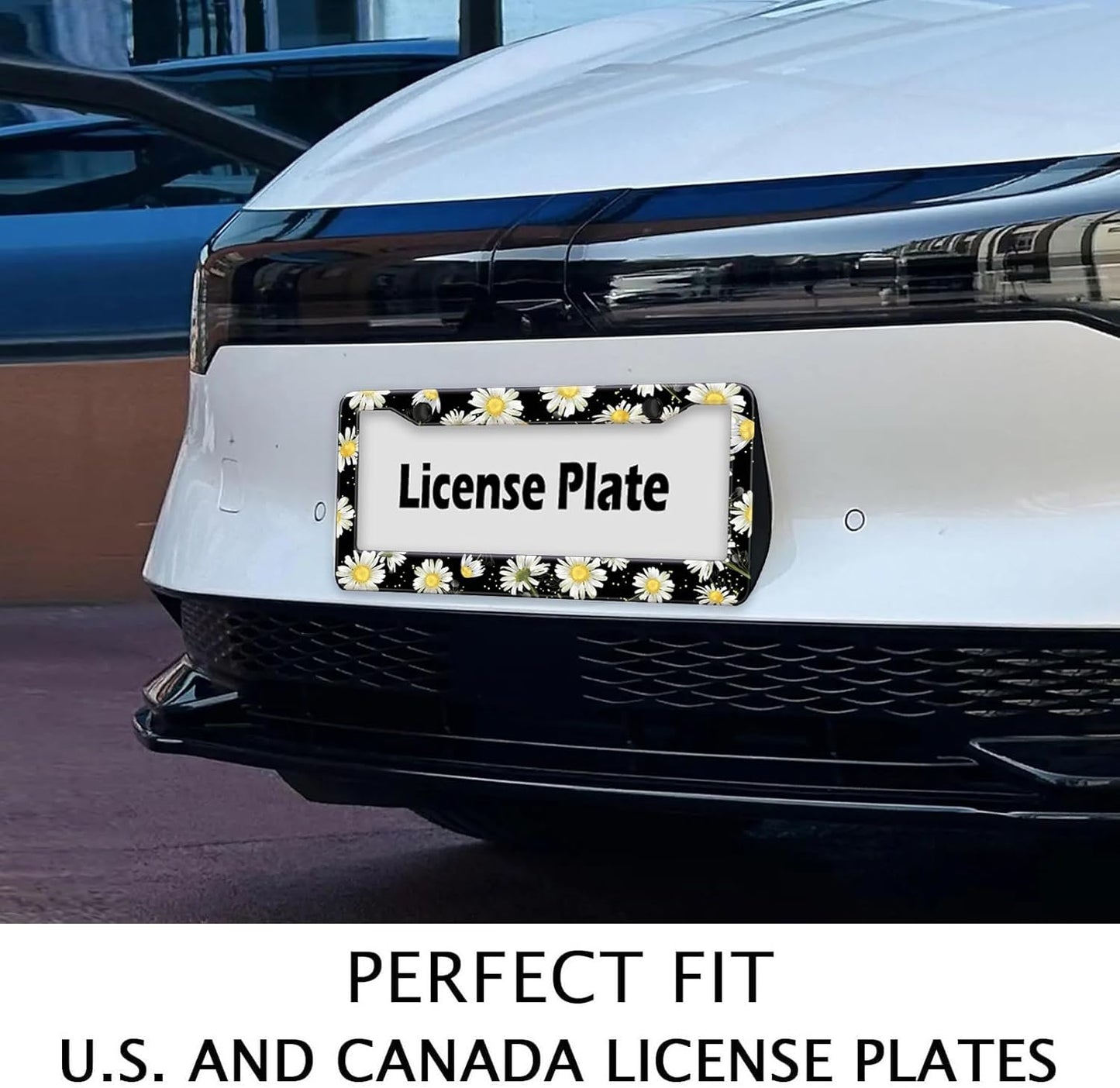 Daisy Flowers Car License Plate Frame, Flowers Print Tags Frames Holder Covers, Metal Aluminum Rustproof Car Accessories US Canada Standard with Screws for Women Men 6x12 Inch 2 Holes
