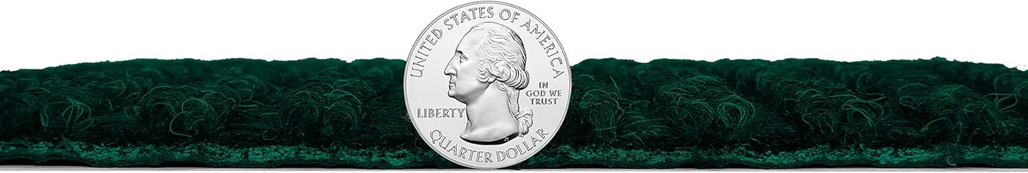 KOECKRITZ Heavy Duty Durable All Weather Indoor/Outdoor Non Slip Entrance Mat Rugs and Runners for Office Business Building Home Garage Front Door (6' x 12', Green)