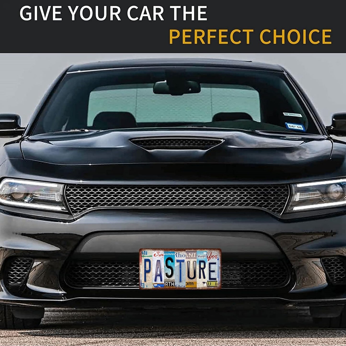 PASTURE Vintage Metal Tin Sign License Plate Bar Cafe Garage Cave Home Room Wall Bathroom Farmhouse Garden Porch Patio Decor, 12 x 6 Inch