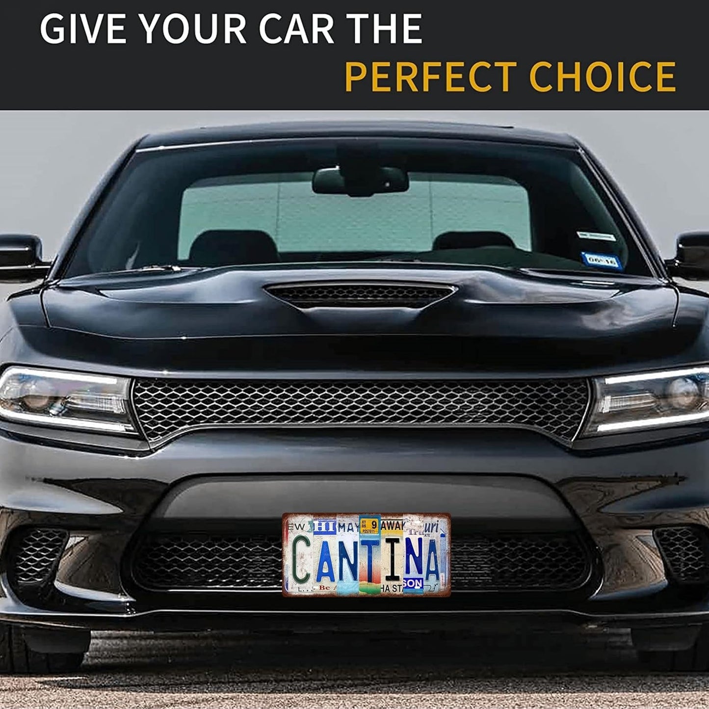 CANTINA Space Vintage Metal Tin Sign License Plate Bar Cafe Garage Cave Home Room Wall Bathroom Farmhouse Garden Porch Patio Decor, 12 x 6 Inch