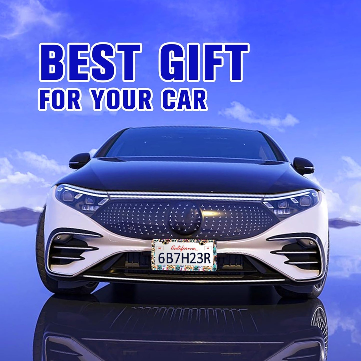 Funny Cat License Plate Frame Pet Cartoon License Plate Holders Stainless Steel Auto Accessory Bracket 2 Hole with Screws Universal Us Car License Plate Frames 6x12 Inch for Women Men